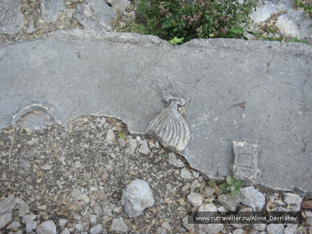 photo 107601
