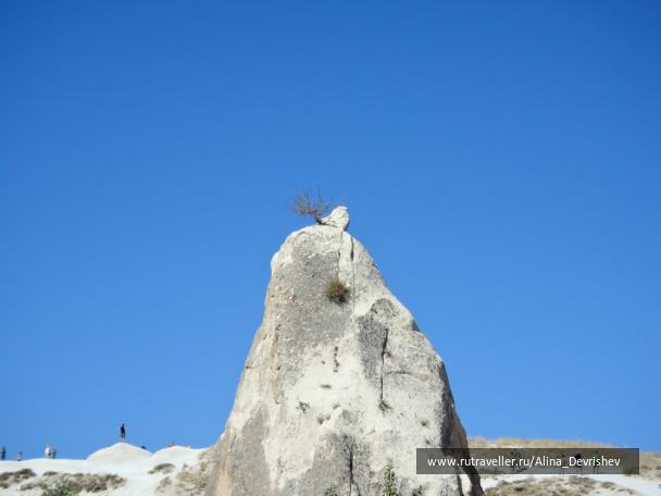 photo 162815