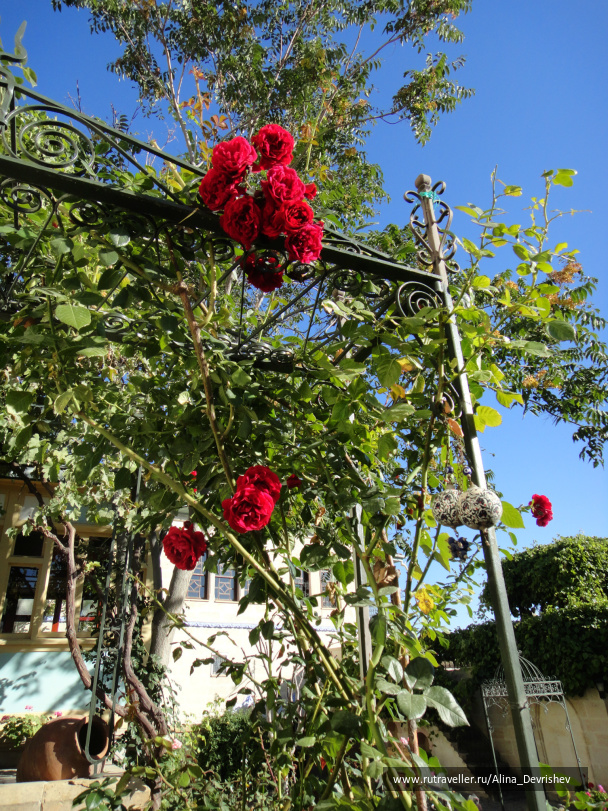 photo 162834