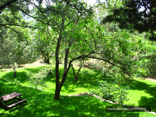 photo 293013