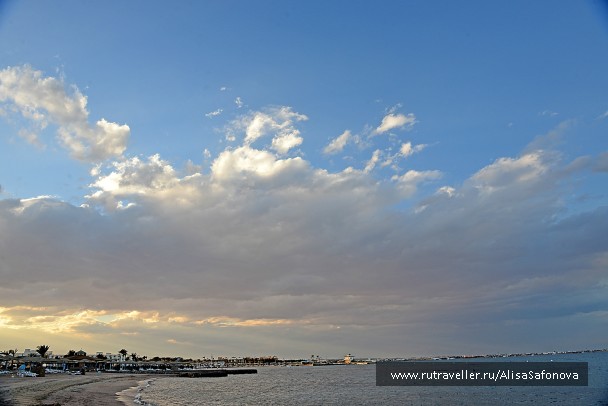 photo 870599