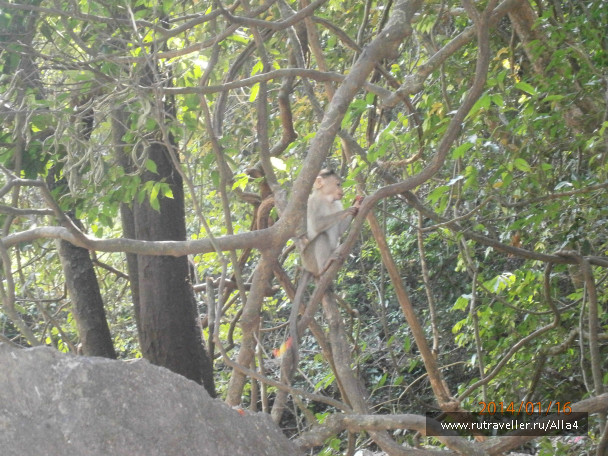 photo 644311