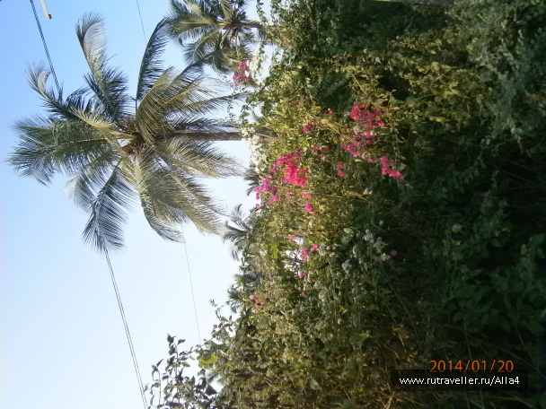 photo 644458