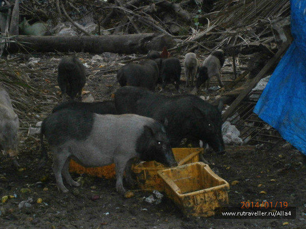 photo 644462