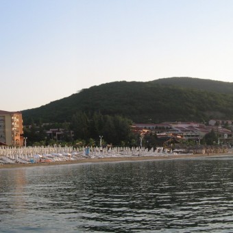 Елените