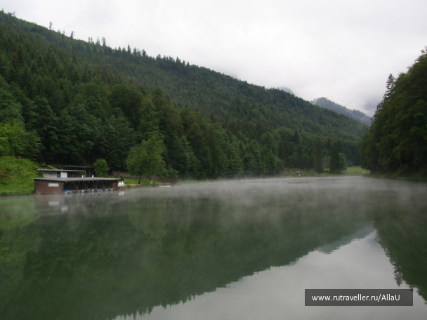 photo 252395