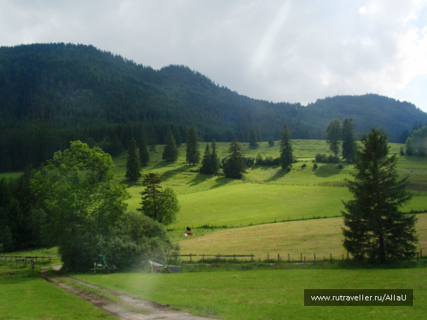 photo 365013
