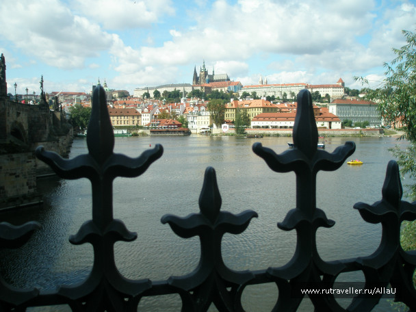 photo 317821