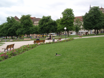 photo 285757