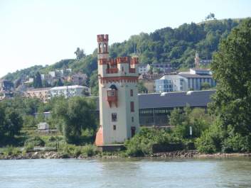 photo 299469