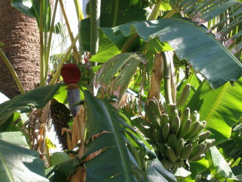 photo 279162