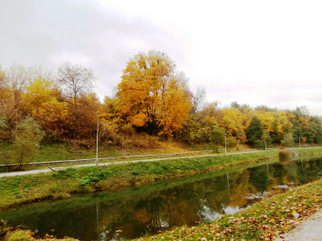 photo 550406