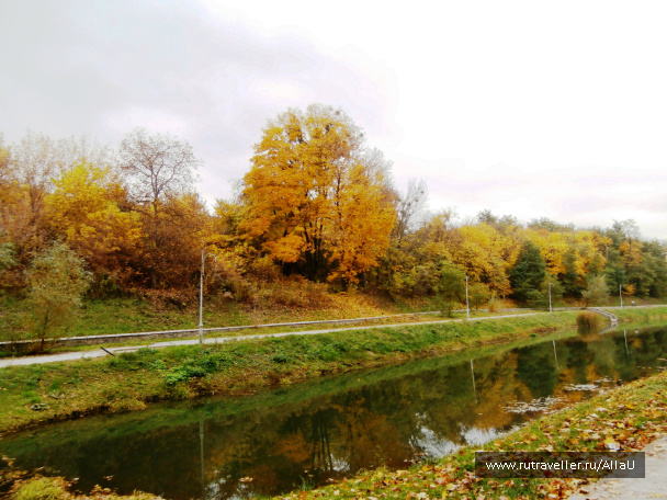 photo 550406