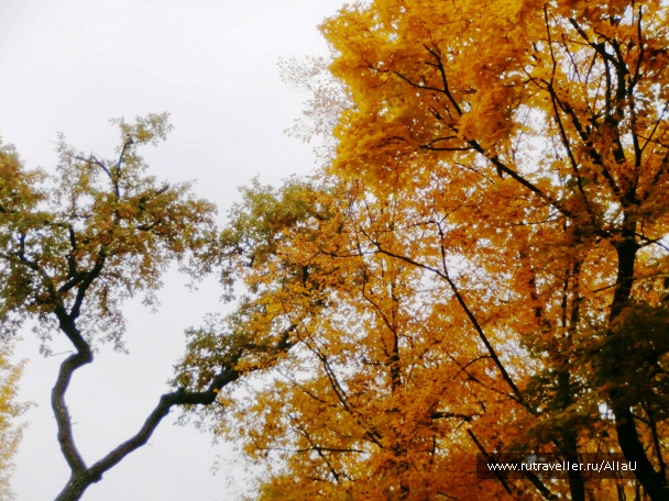photo 550440