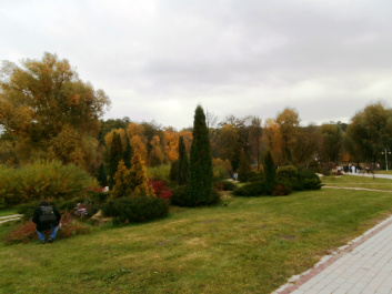 photo 550463