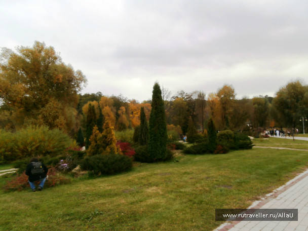 photo 550463