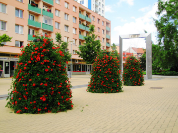 photo 414983
