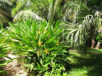 photo 933357
