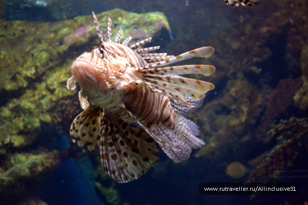 photo 862740