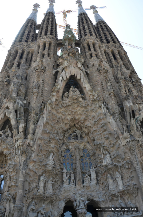 photo 148895
