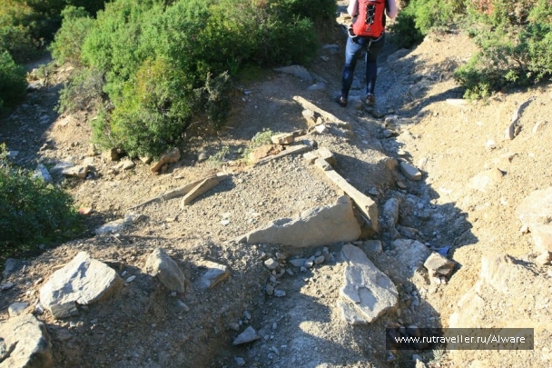 photo 904120