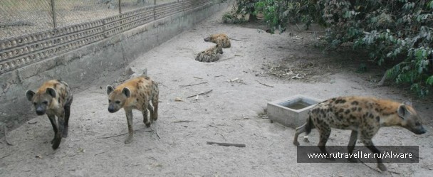 photo 933897