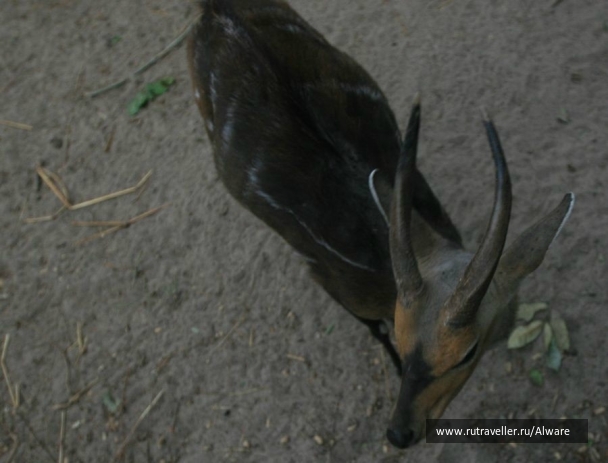 photo 935728