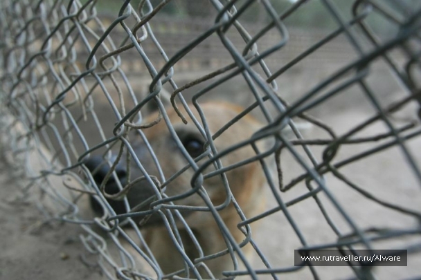 photo 935729