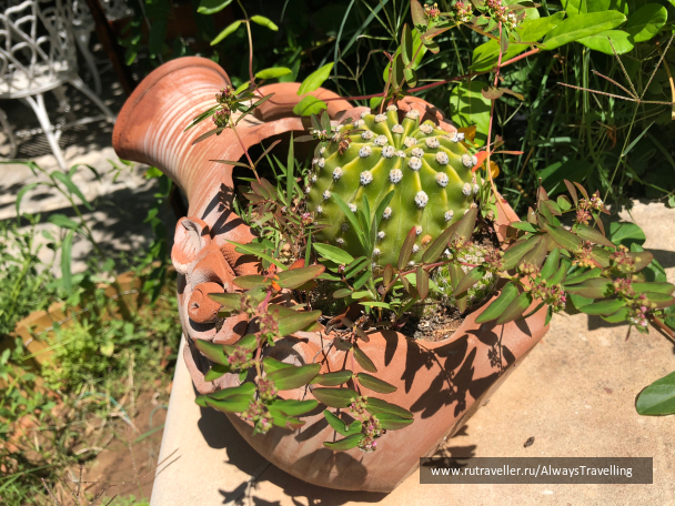 photo 1648142