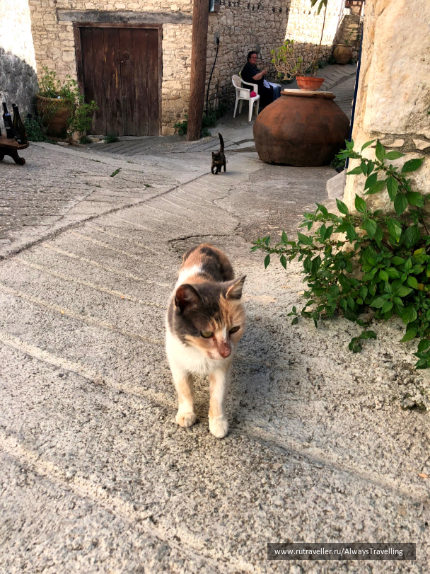 photo 1648712