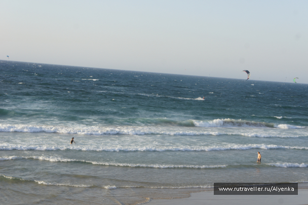 photo 1302117