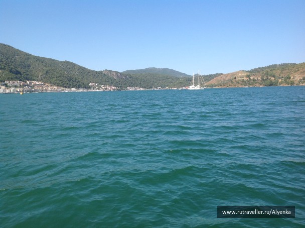 photo 1302100
