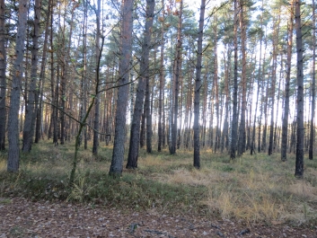 photo 846254