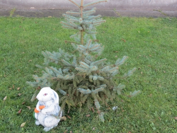 photo 846260
