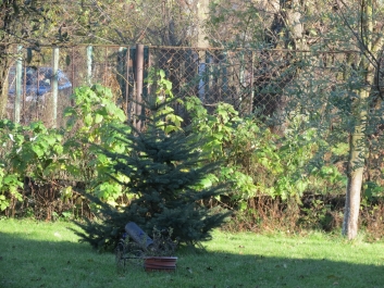 photo 846261