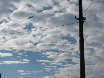 photo 846262