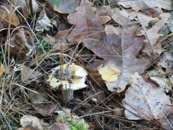 photo 846302