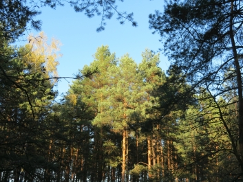 photo 846305