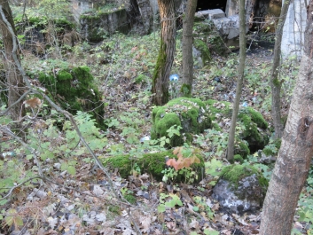 photo 846306