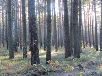 photo 846312