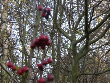 photo 846340