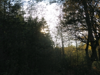 photo 846342