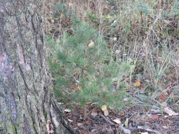photo 846343