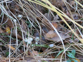 photo 846346