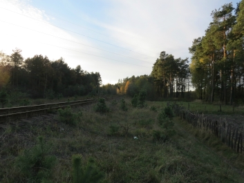 photo 846362