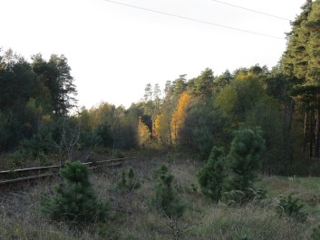 photo 846363