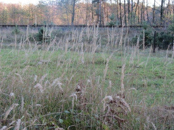 photo 846366