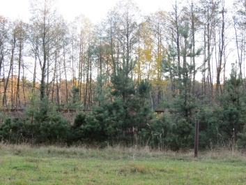 photo 846367