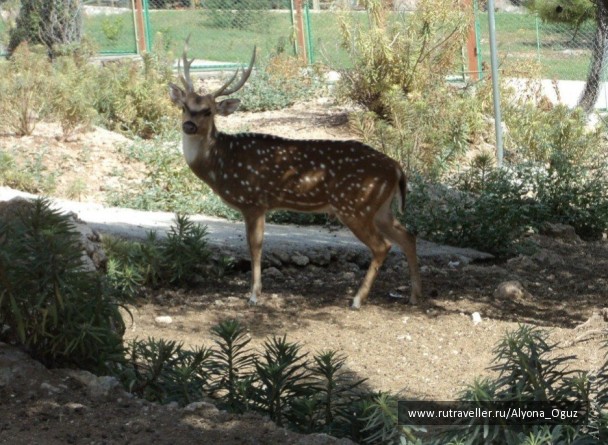 photo 1026876