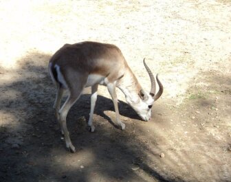 photo 1026878